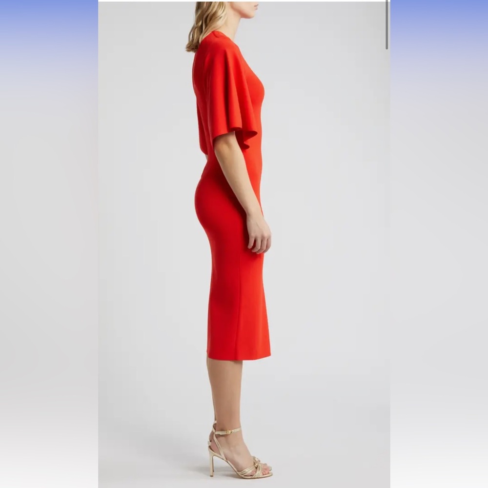 Ted Baker Dress - Picture 3 of 4